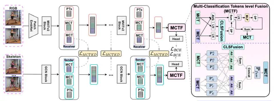 Towards Video-based Activated Muscle Group Estimation in the Wild