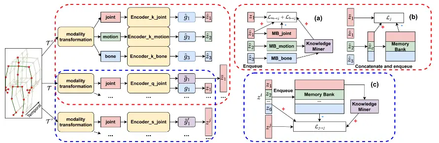 Elevating Skeleton-Based Action Recognition with Efficient Multi-Modality Self-Supervision