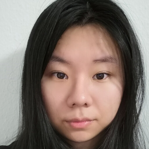 Ruiping Liu